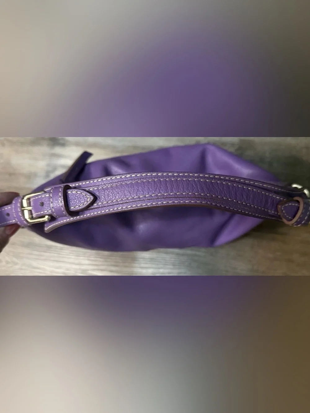 Dooney & Bourke Luna Purple Expandable Hobo Bag